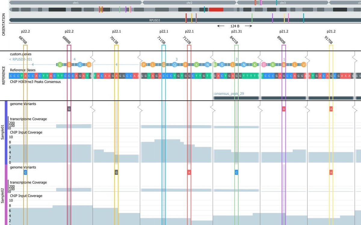genome browser