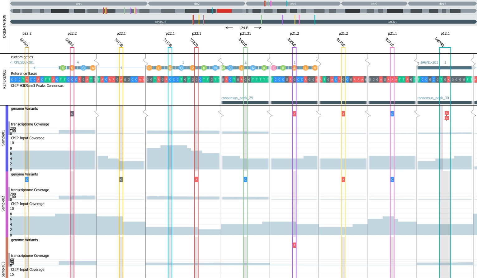 genome browser