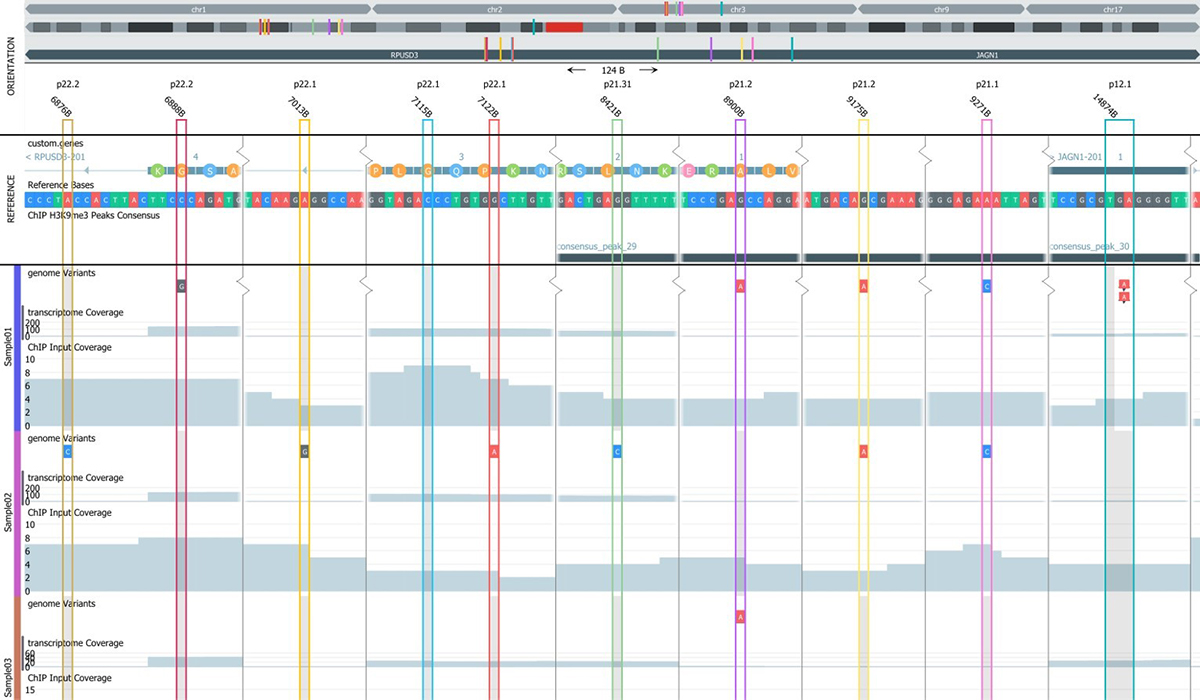 genome browser