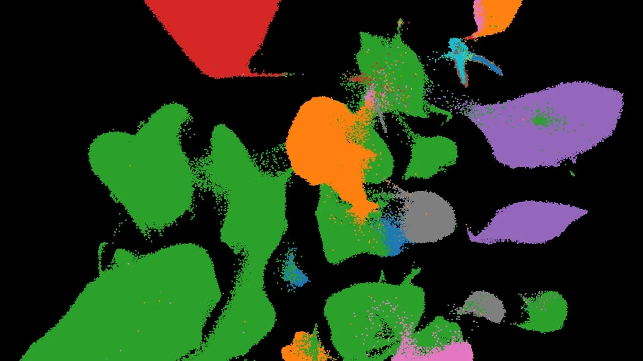 Single cell