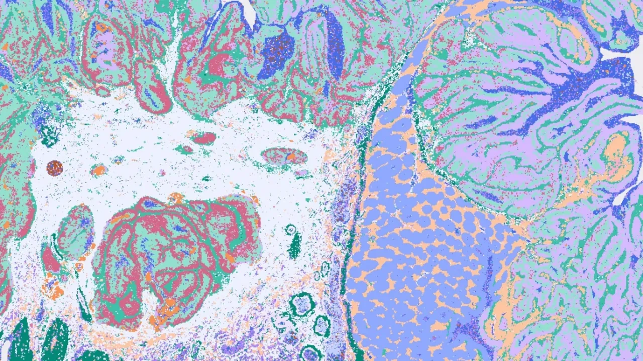 Spatial