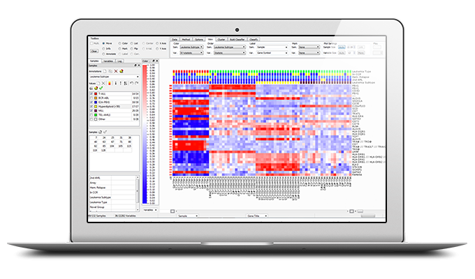 Analyzation