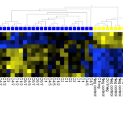 Heatmap Institute Pasteur