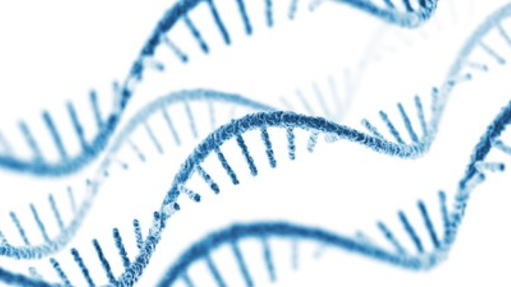 RNA-seq