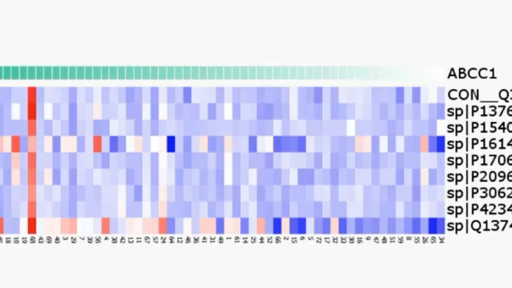 Multi-Omics Analyses made Easy